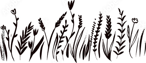 wildflower silhouette vector. A detailed silhouette of various wild grasses and seed heads against a white background in a striking black and white design. Wildflower Meadow and Grass 