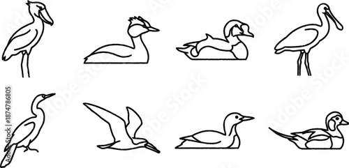 Set of various waterbird silhouettes in different poses and flying  simple line art style