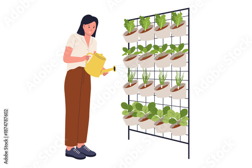 Woman Watering Potted Plants on Modern Vertical Garden Wall Illustration. An illustration of a woman using a watering can to maintain a space-saving vertical vegetable garden on a metal grid frame