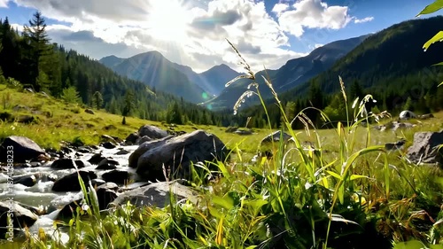 Sunny Mountain Meadow Creek Surrounded By Green Hills.