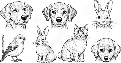 Set of hand drawn sketch of pet animals dog cat rabbit and bird portrait illustration