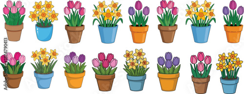 Colorful vector illustration set of spring flowers in pots featuring pink tulips and yellow daffodils isolated on white background