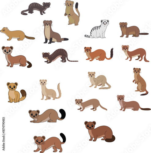 Large collection of cute weasel ferret and mongoose cartoon characters in various colors and poses flat vector illustration set