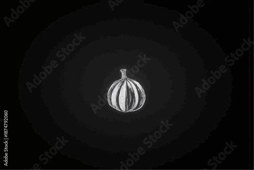 Onion bulb illustration on a black background with copy space