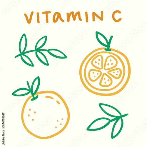 Cute Hand Drawn Vitamin C Citrus Fruit Doodle Illustration
