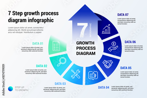 7 Step growth process diagram infographic