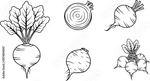  Outline set of black and white vector Beets icons collection