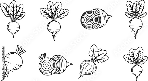  Outline set of black and white vector Beets icons collection