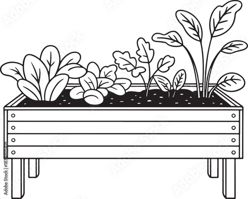 Wooden Planter Box with Leafy Plants and Soil