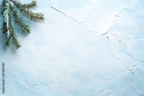 Winter backdrop with fir tree branch on textured light blue surface for seasonal themes