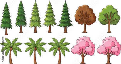 Set of diverse cartoon trees including evergreen pines palm trees autumn oak summer deciduous and pink cherry blossom spring forest vectors