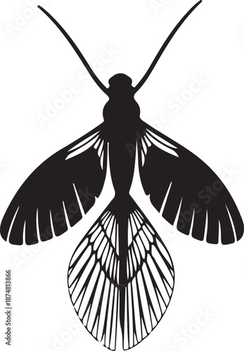 Black moth silhouette with detailed wings, a classic insect illustration perfect for graphic design projects and entomology enthusiasts