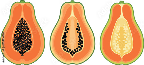 Fresh ripe papaya fruit set with halved slices showing black seeds isolated on white background flat vector illustration for healthy tropical food and exotic nutrition concept.