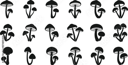 Vector Silhouette Collection of Various Wild Mushroom Species and Fungi Groups Featuring Different Cap Shapes and Stems Isolated on White Background for Nature Designs