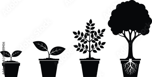 Plant growth stages in pots silhouette set, from seedling to mature tree with roots, life cycle of plant development vector illustration,