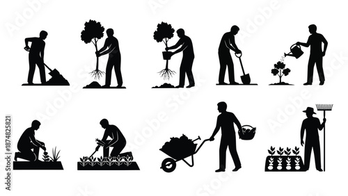 Gardening activities people working with plants tools and soil in a garden