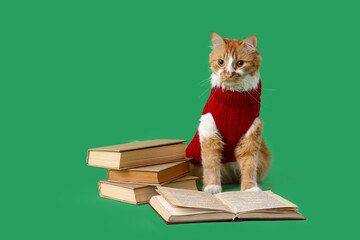 Cute cat in sweater with books on green background