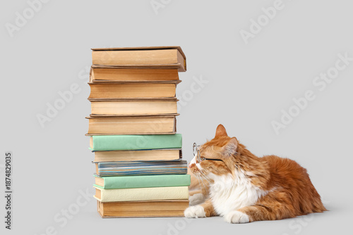 Cute cat in eyeglasses with...