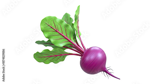 Single Beetroot with Green Leaves