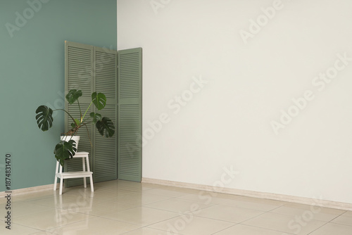 Folding screen and palm pla...