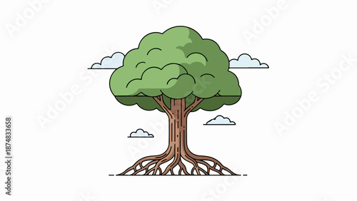 Single robust tree with exposed roots and green canopy against pale sky with clouds