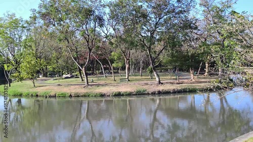 Serene 4K view of peaceful public park featuring lush green trees reflecting in calm pond. Perfect for nature backgrounds urban greenery and relaxing outdoor landscape projects