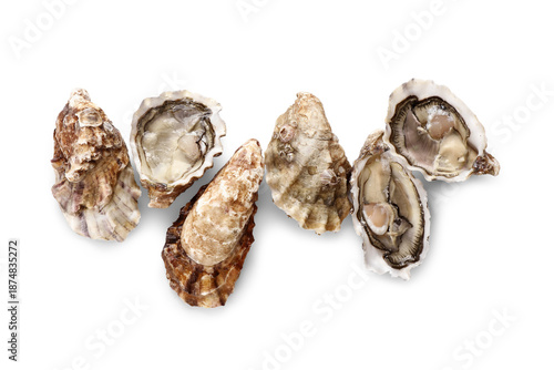 Tableau sur toile Delicious fresh oysters on white background