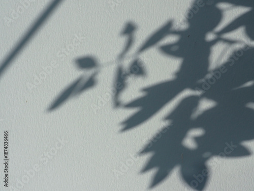 Soft shadow of leaves cast on a house wall by natural sunlight. A calm and minimal composition that evokes tranquility, simplicity, and connection with nature. Perfect for lifestyle design