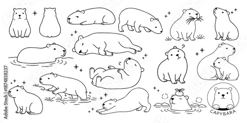 いろいろなポーズのカピバラ線画コレクション、Collection of capybara line drawings in various poses