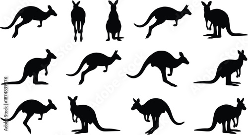 Kangaroo silhouettes set, jumping marsupial poses, black vector icons, Australian wildlife collection, animal motion illustration, isolated white background