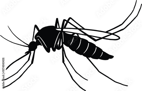 Mosquito insect silhouette, flying biting pest illustration highlighting disease transmission risk, public health awareness concept, isolated black vector graphic background