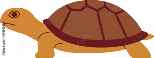 Cartoon of a turtle on white