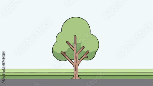 Minimalist cartoon-style illustration of a single tree with a thick brown trunk and vibrant green canopy