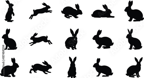 Rabbit silhouette collection showing various bunny poses including sitting, jumping, running, and resting, black animal vector illustrations isolated on white background for wildlife and pet concepts