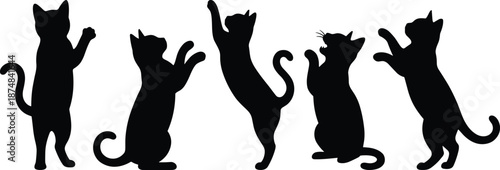 Set of black cat silhouettes in playful jumping and sitting poses, isolated on white background, cute pet animal shapes for design and illustration use