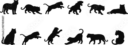 Set of black cat silhouettes showing walking, jumping, stretching, and sitting poses, isolated on white background for pet design, playful motion, and illustration use