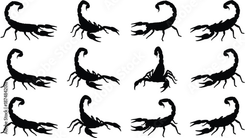 Set of black scorpion silhouettes in multiple poses, dangerous desert arachnid animals isolated on white background for wildlife, venom, symbol, and illustration design use