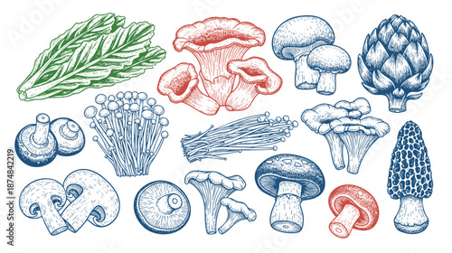 A big set of hand-drawn vegetables. Isolated. Cucumber, tomato, artichoke, celery, cabbage, leek, corn, pepper, carrot, eggplant, pumpkin, beetroot. Vector illustration of a doodle.