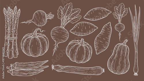 Big set for the menu. Spices and vegetables. Hand drawing sketches