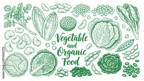 Big set for the menu. Spices and vegetables. Hand drawing sketches