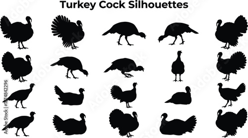 Turkey cock silhouettes collection, farm poultry bird poses, black vector icons, agricultural wildlife illustration set, isolated white background design