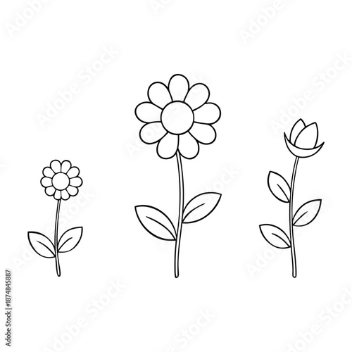 Bright summer meadow flowers bloom under warm sunshine, with colorful wildflowers, gentle breezes, and buzzing bees creating a cheerful, lively natural landscape.
