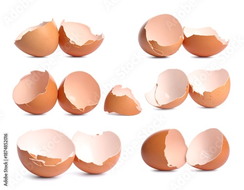 Several eggshells displayed in different configurations against a white backdrop. The broken shells reveal the interior