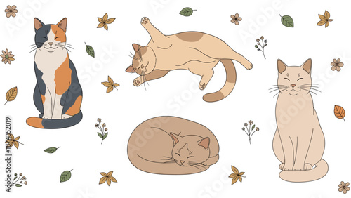 Beautiful arrangement of cats in different poses surrounded by floating autumn leaves and small flowers on white.