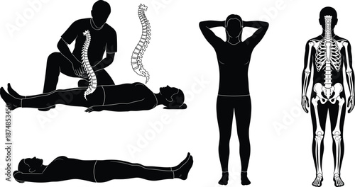 Chiropractic spinal adjustment therapy silhouette illustration, human spine anatomy alignment, physiotherapy posture correction, skeletal system healthcare concept vector design