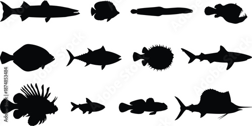 Collection of marine fish silhouettes showing diverse ocean species isolated on white background, black vector illustration set for aquatic design