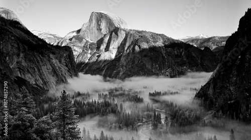 Wallpaper Mural Half Dome Yosemite Valley Foggy Forest River Black White Torontodigital.ca