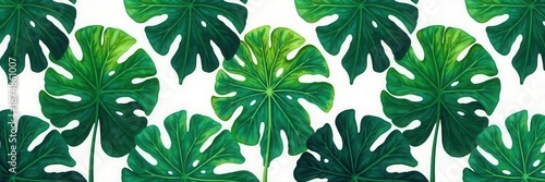Symmetrical monstera leaf silhouettes, tropical foliage pattern , minimal, vintage, summer