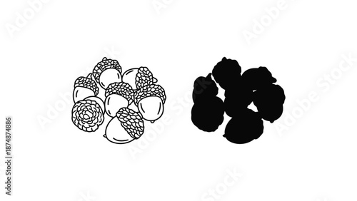 An illustration of acorns in different colors and styles on a white background
