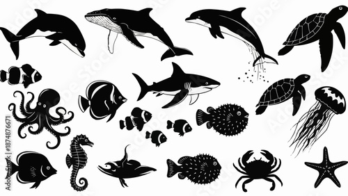 Collection of Various Marine Animals and Sea Creatures.